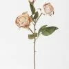 Afloral Beige Faux Dried Roses With Bud - 21"