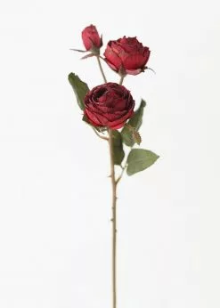 Afloral Burgundy Faux Dried Roses - 21"