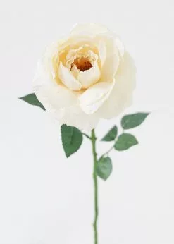 Afloral Artificial Flowers Silk Garden Cabbage Rose In Buttercream - 23"