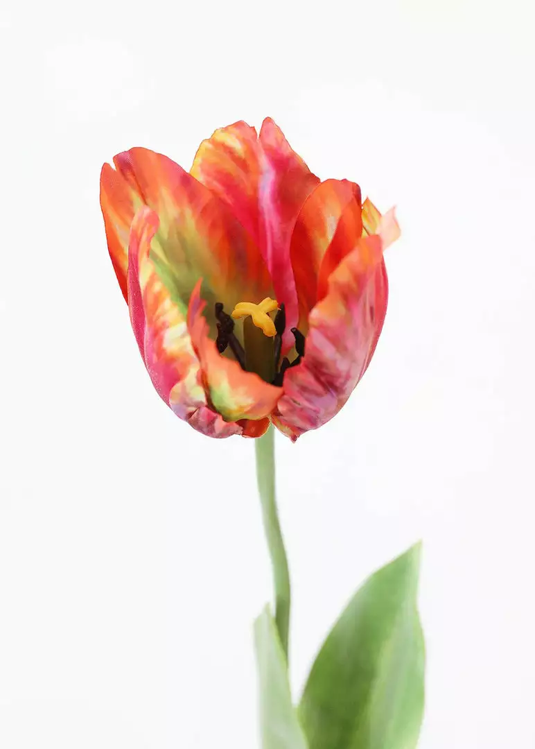 Afloral Artificial Flowers Tie Dye Red Artificial Parrot Tulip - 25"