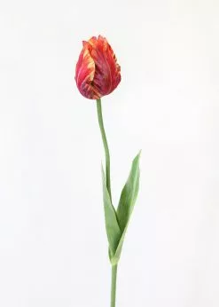 Afloral Artificial Flowers Tie Dye Red Artificial Parrot Tulip - 25"