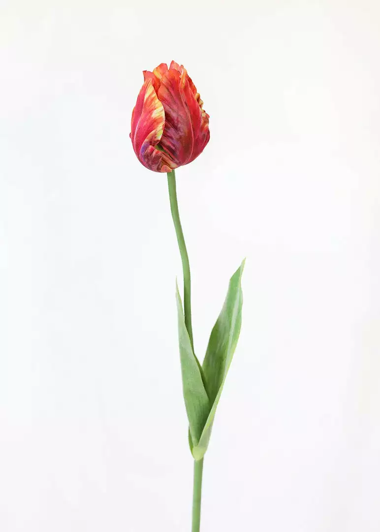 Afloral Artificial Flowers Tie Dye Red Artificial Parrot Tulip - 25"