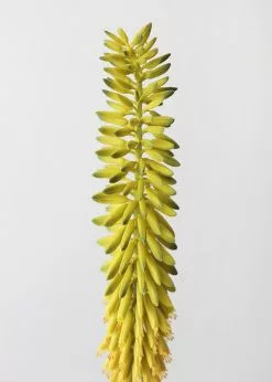 Afloral Green Yellow Fake Flower Agave Bloom - 34.25