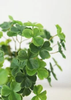 Afloral Fake Plants 4-Leaf Clover Bush - 11