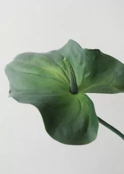 Afloral Large Tropical Anthurium Fake Leaf - 33.5
