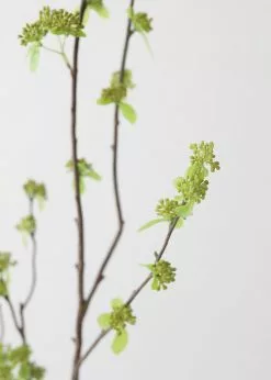 Afloral Artificial Branch With Green Buds - 40"