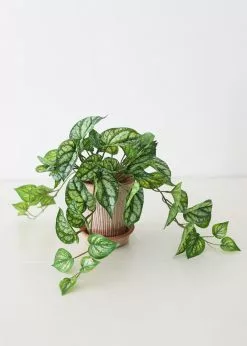 Afloral Artificial Plants UV Protected Peperomia Fake Hanging Plant - 19.5