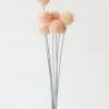 Afloral Artificial Craspedia Billy Buttons In Pink - 21"