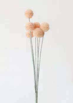 Afloral Artificial Craspedia Billy Buttons In Pink - 21"