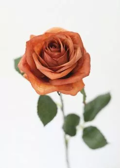 Afloral Fake Rose In Terracotta - 21.5"