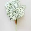 Afloral Variegated Tropical Caladium Fake Leaf Plant - 23"