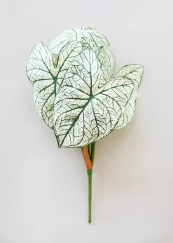 Afloral Variegated Tropical Caladium Fake Leaf Plant - 23"
