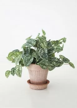 Afloral Artificial Satin Pothos House Plant - 9"