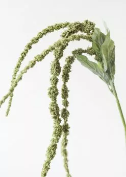 Afloral Artificial Plants Artificial Amaranthus Spray In Green - 45"