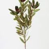 Afloral Artificial Wild Protea Foliage - 26.25" Artificial Plants