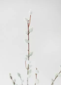 Afloral Artificial Flowers Artificial Pussy Willow Branch - 31"