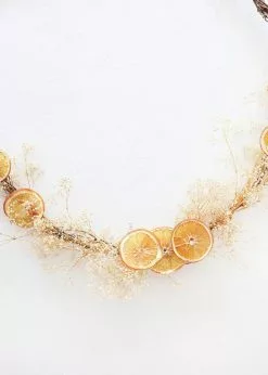 Afloral Bag Of 20 Preserved Orange Slices - 1.5-3"