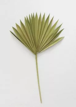 Bundle Of 5 Afloral Green Sun Palms - 14-20