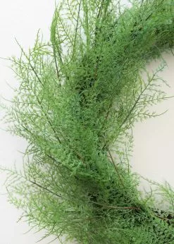 Afloral Outdoor Plastic Asparagus Fern Wreath - 26" Artificial Plants