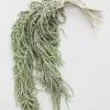 Afloral Green Preserved Amaranthus Hanging Flowers - 32-40" Dried Flowers