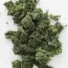 Afloral Dried Flowers Natural Green Preserved Reindeer Moss - 1 Lb