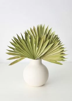 Bundle Of 5 Afloral Green Sun Palms - 14-20"