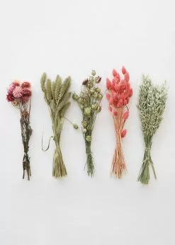 Afloral Dried Floral Hoop Styling Kit - 2 Hoops Dried Flowers