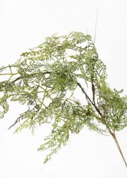 Afloral.com Artificial Plants Artificial Baby's Tears Fern Branch - 36