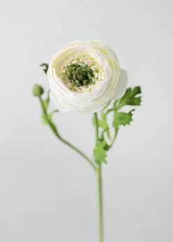Afloral Artificial Flowers Silk Ranunculus In Cream - 13