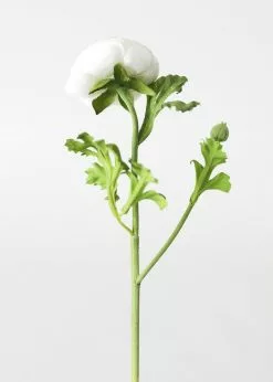 Afloral Artificial Flowers Silk Ranunculus In Cream - 13