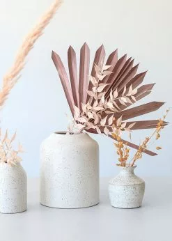 Afloral.com Bundle Of 5 Afloral Desert Pink Sun Palms - 18-24"