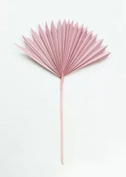 Afloral.com Bundle Of 5 Afloral Desert Pink Sun Palms - 18-24