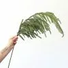 Afloral Real Touch Norfolk Pine Branch - 36" Artificial Plants