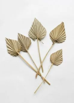 Afloral.com Bundle Of 5 Afloral Natural Mini Palm Spears - 16-22