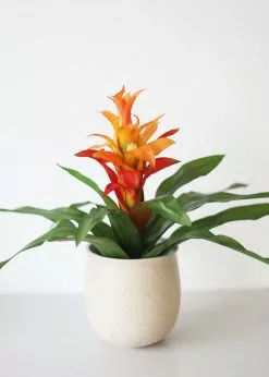 Afloral Artificial Indoor/Outdoor Bromeliad Plant - 21