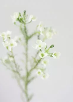 Afloral Artificial Flowers White Fake Waxflower Filler Flowers - 26"