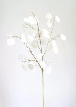 Afloral Faux Lunaria Silver Dollar Lunaria - 29