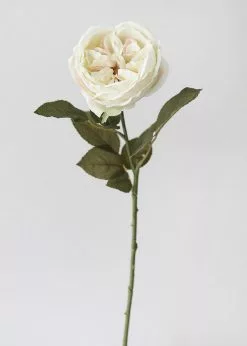 Afloral Eggshell Cream English Cabbage Rose - 25" Artificial Flowers