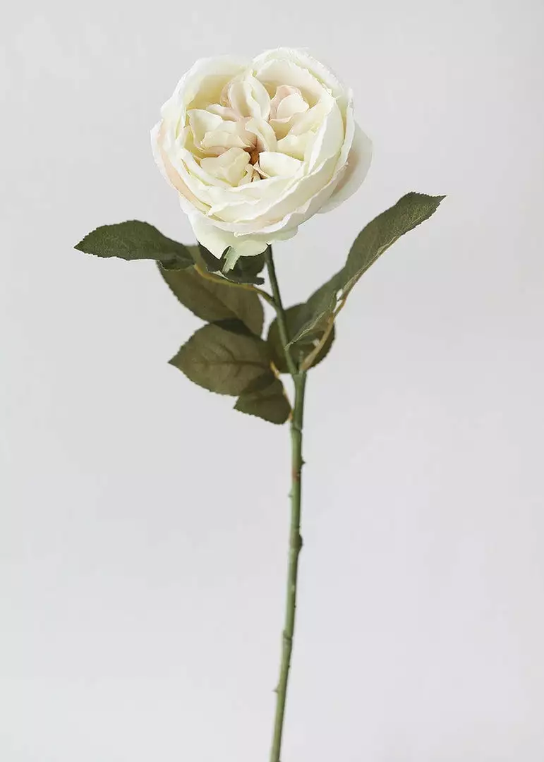 Afloral Eggshell Cream English Cabbage Rose - 25" Artificial Flowers