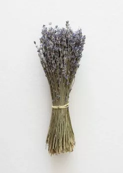 Afloral Dried Fragrant Lavender Bundle - 6-14" Dried Flowers