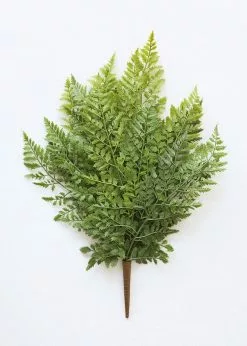 Afloral Fake Lace Fern UV Protected Real Touch Plant - 19"