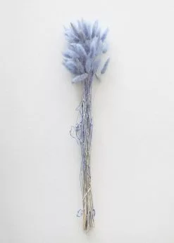 Afloral Light Blue Dried Bunny Tails - 18-28" Dried Flowers