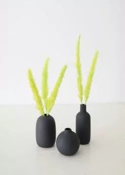 Afloral Chartreuse Dried Pampas Grass - 25-28