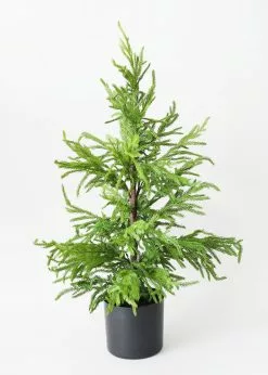 Afloral Real Touch Faux Norfolk Pine Tree - 36"