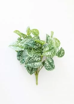 Afloral Artificial Satin Pothos House Plant - 9"
