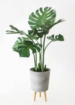 Afloral Artificial Plants Fake Monstera Plant In Cement Stand - 45"