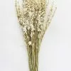Afloral Cream Dried Larkspur Wildflowers - 23-26" Dried Flowers