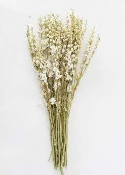 Afloral Cream Dried Larkspur Wildflowers - 23-26" Dried Flowers