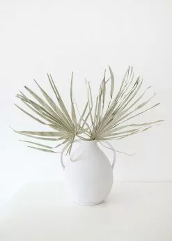 Bundle Of 5 Afloral Dried Skinny Sun Palms - 26-32"