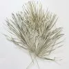 Bundle Of 5 Afloral Dried Skinny Sun Palms - 26-32"